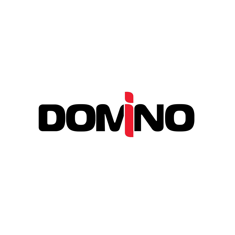 Сеть магазинов «Домино» 